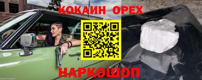 шишки Тара