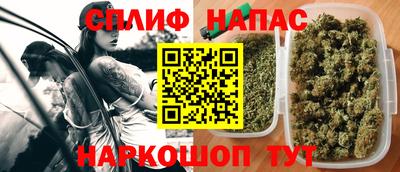 шишки Тара