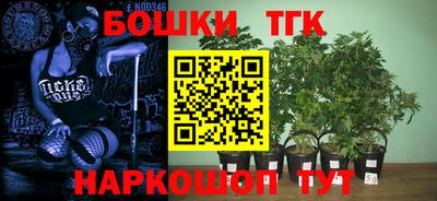 шишки Тара