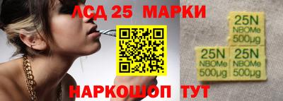 шишки Тара