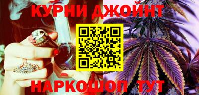 шишки Тара