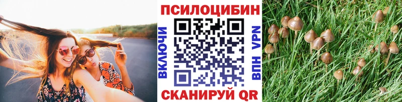 маркетплейс клад  Ревда  Псилоцибиновые грибы прущие грибы 