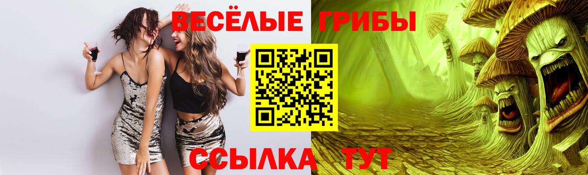 Псилоцибиновые грибы Cubensis  Вход с VPN  Ревда 