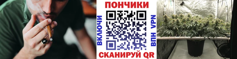 Бошки Шишки марихуана Ревда